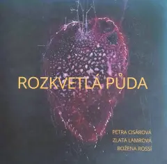 Rozkvetlá půda - Petra Cisárová, Zlata Lamrová, Božena Rossí - obrázek