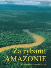 Ryby Amazonie - obrázek