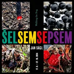 Jan Ságl: Šel sem se psem - obrázek