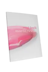 Miloš Ševčík: Essentia minimalis - obrázek