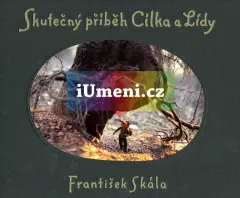 Cecil´s quest - obrázek