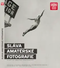 Sláva amatérské fotografie. Organizovaná amatérská - obrázek