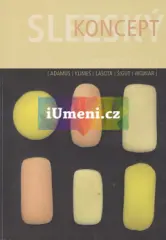 Slezský koncept - obrázek