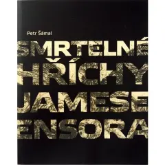 Smrtelné hříchy Jamese Ensora - obrázek