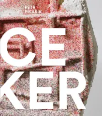 Petr Písařík SPACE MAKER - obrázek