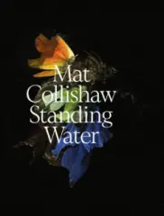 Mat Collishaw. Standing Water - obrázek