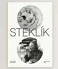 Steklík - obrázek