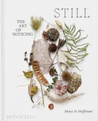 STILL: The Art of Noticing - obrázek