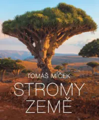 Stromy Země - obrázek