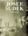 Josef Sudek - Labyrinty - obrázek