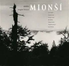 Josef Sudek - Prales Mionší - obrázek