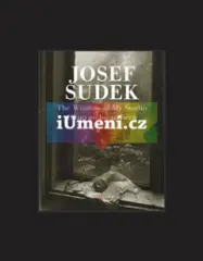 Josef Sudek - Okno mého ateliéru / The Window of M - obrázek