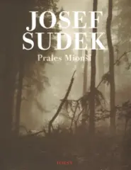 Josef Sudek - Prales Mionší - obrázek