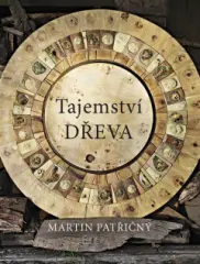 Tajemství dřeva - Martin Patřičný - obrázek