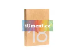 TO JE BRNO PO 100 LETECH - obrázek