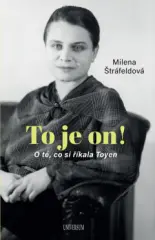 To je on! O té, co si říkala Toyen - obrázek