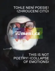 Tohle není poesie! (Zhroucení citů) - obrázek