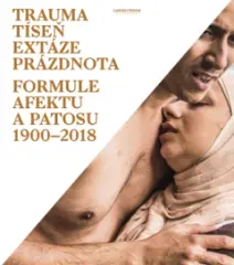 Trauma tíseň extáze prázdnota. Formule afektu a patosu 1900–2018 - obrázek
