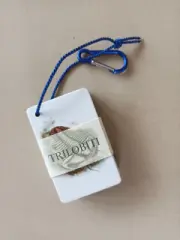 Trilobiti - Kapesní atlas - obrázek