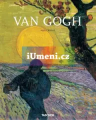 Van Gogh - obrázek