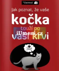 Jak poznat, že vaše kočka touží po vaší krvi - obrázek