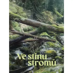 Ve stínu stromů - obrázek
