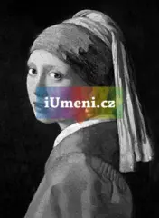 Vermeer (Phaidon Classics) - obrázek