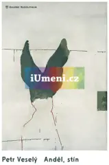 Petr Veselý. Anděl, stín - obrázek