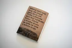 Vrchovina, krabatina, mrchovina: Solitéři Vysočiny - obrázek