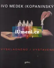 Vyskladněno / Vystaveno - obrázek