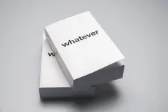 Jiří Valoch Whatever - obrázek