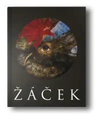 Pavel Žáček - obrázek