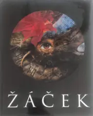 Pavel Žáček - obrázek