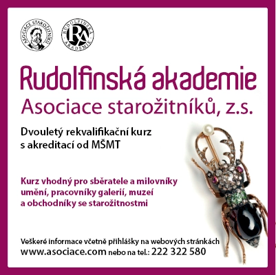 Rudolfinská akademie - dvouletý rekvalifikační kurz - img